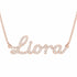 Diamond Gold Name Necklace - Liora