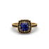 Sapphire Cathedral Halo Engagement Ring - Luciana No. 43 image 1