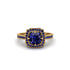 Sapphire Cathedral Halo Engagement Ring - Luciana No. 73 image 1