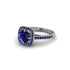 Sapphire Cathedral Halo Engagement Ring - Luciana No. 75