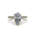 Pear-Cut Diamond Halo Engagement Ring - Nylah No. 1