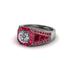 Diamond Royal Radiance Halo Engagement Ring - Liana No. 48