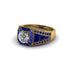 Diamond Royal Radiance Halo Engagement Ring - Liana No. 61