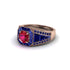 Ruby Royal Radiance Halo Engagement Ring - Liana No. 71 image 3