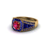 Ruby Royal Radiance Halo Engagement Ring - Liana No. 70