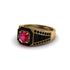 Ruby Royal Radiance Halo Engagement Ring - Liana No. 40