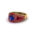 Sapphire Royal Radiance Halo Engagement Ring - Liana No. 58 image 3