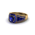 Sapphire Royal Radiance Halo Engagement Ring - Liana No. 73 image 3
