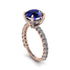 Sapphire Twisted Band Halo Engagement Ring - Avianna No. 14