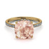 Cushion Hidden Morganite Ring - Nova No. 901