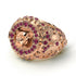 Ruby Puma Gold Men's Fashion Ring - Santiago No. 11