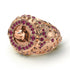 Ruby Shark Gold Men's Fashion Ring - Ryan No. 11