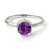 Solitaire Bezel Amethyst Ring - Emerson No. 303