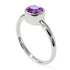 Solitaire Bezel Amethyst Ring - Emerson No. 303