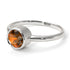 Solitaire Bezel Brown Diamond Ring - Emerson No. 1103