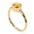 Solitaire Bezel Citrine Ring - Emerson No. 601