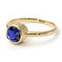 Solitaire Bezel Sapphire Ring - Emerson No. 13