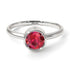 Solitaire Bezel Ruby Ring - Emerson No. 12