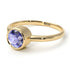 Solitaire Bezel Tanzanite Ring - Emerson No. 201