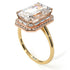 Two Tones Halo Emerald Cut Diamond Ring With Hidden Diamonds - Rowan No. 76