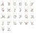 Black Diamond Gold Letter Necklace - F