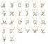 Black Diamond Gold Letter Necklace - N