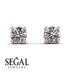 .25ct Diamond Earrings - Maci No. 2