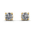 .25ct Diamond Earrings - Maci No. 1