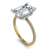 Two Tones Hidden Halo Emerald Cut Diamond Engagement Ring - Melodi No. 77