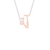 Gold Name Necklace - Ayya - آية