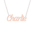 Gold Name Necklace - Charlie