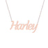 Gold Name Necklace - Harley