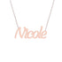 Gold Name Necklace - Nicole
