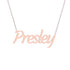 Gold Name Necklace - Presley