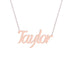 Gold Name Necklace - Taylor