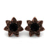 Lotus Flower Black Diamond Earrings - Lotus no. 5