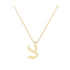 Tzadik - Hebrew Alef-Bet letter diamond Necklace - Tzadik letter