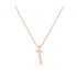 Zain - Hebrew Alef-Bet letter diamond Necklace - Z letter
