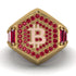 Bitcoin Ruby Signet Ring - Axel No. 31