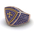 Sapphire Men Signet Ring - Roger No. 38