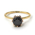 Two Tones Classic Black Diamond Ring With Hidden Stones - Elliana No. 19
