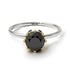 Two Tones Classic Black Diamond Ring With Hidden Stones - Elliana No. 20