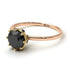 Two Tones Classic Black Diamond Ring With Hidden Stones - Elliana No. 19