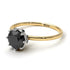 Two Tones Classic Black Diamond Ring With Hidden Stones - Elliana No. 20