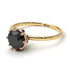 Two Tones Classic Black Diamond Ring With Hidden Stones - Elliana No. 19