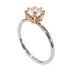 Two Tones Classic Diamond Ring With Hidden Stones - Elliana No. 18