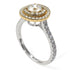 Two Tones Double Halo Diamond Ring - Zoey No. 77