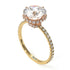 Two Tones Double Hidden Halo Diamond Engagement Ring - Angelina No. 76