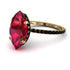 Hidden Halo Marquise Ruby Engagement Ring - Journey No. 40 image 1