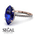 Hidden Halo Marquise Sapphire Engagement Ring - Journey No. 14